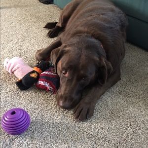 Meet your Posher, Cindy